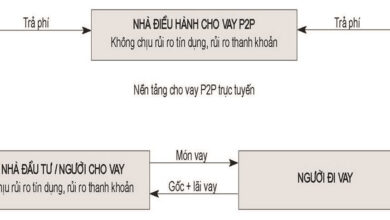 Hoạt động cho vay ngang hàng: Lợi ích và rủi ro