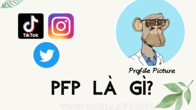 PFP là gì? Nghĩa của PFP trong các lĩnh vực. Tổng hợp meme PFP