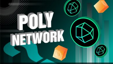 Poly Network là gì? Tất tần tật thông tin về Poly network cho nhà đầu tư crypto