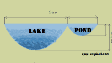 Lake hay Pond? - Bạn Đã Chắc Chưa?