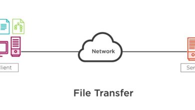 Network Protocol là gì? Những thông tin quan trọng cần biết về Network Protocol