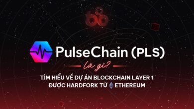 PulseChain (PLS) là gì? Tìm hiểu về dự án Blockchain Layer 1 được Hardfork từ Ethereum