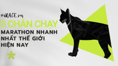 5 chân chạy Marathon nhanh nhất thế giới hiện nay