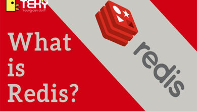 Redis Sentinel là gì? Redis Cache là gì bạn có biết?