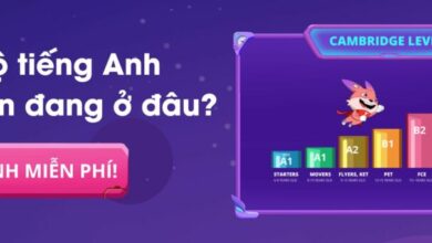 Since là dấu hiệu của thì nào? Nắm vững kiến thức và các cách dùng của Since trong 5 phút