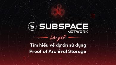 Subspace Network là gì? Tìm hiểu về dự án sử dụng Proof of Archival Storage