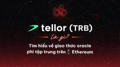 Tellor (TRB) là gì? Tìm hiểu về giao thức oracle phi tập trung trên Ethereum