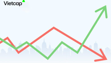 Volatility trong chứng khoán là gì?