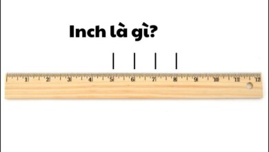 Inch là gì? Cách quy đổi Inch sang các đơn vị khác