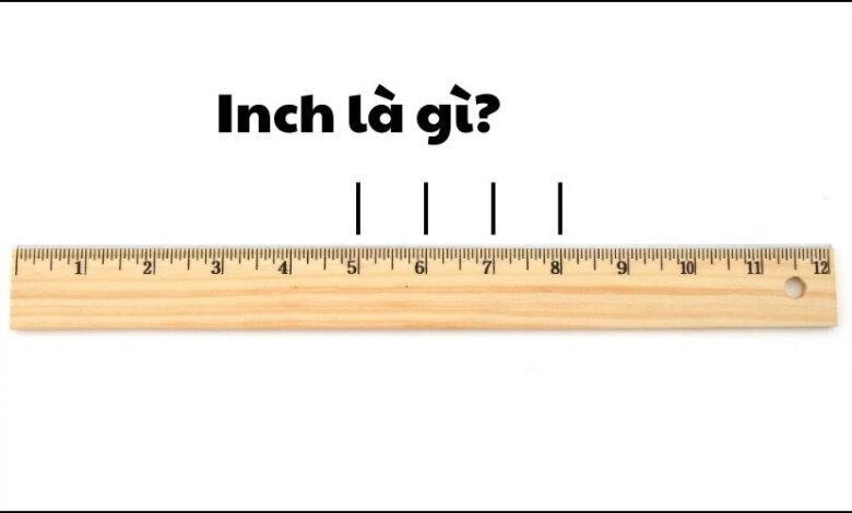 Inch là gì? Cách quy đổi Inch sang các đơn vị khác