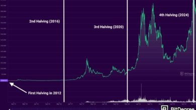 Bitcoin Halving Countdown