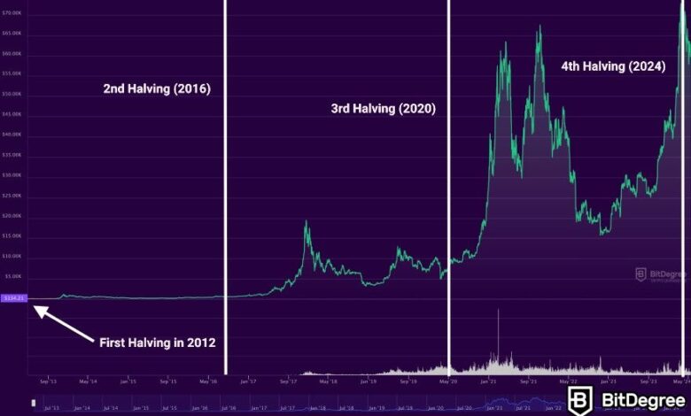 Bitcoin Halving Countdown