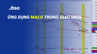 Đường MACD là gì? 3 Ứng dụng chính trong giao dịch cổ phiếu