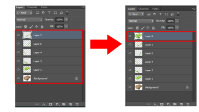 Layer là gì? Các thao tác với layer trong Photoshop cơ bản nhất