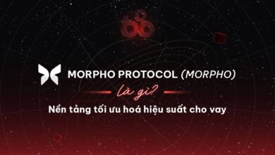 Morpho Protocol (MORPHO) là gì? Nền tảng tối ưu hoá hiệu suất cho vay