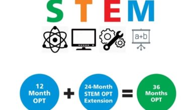 OPT, STEM OPT là gì? Cơ hội tốt giúp du học sinh định cư Mỹ