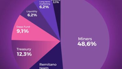 Thông tin về khởi chạy mainnet Remitano Network(RENEC)